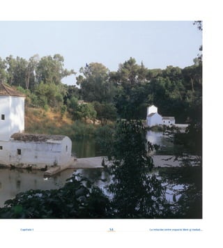 La relación entre espacio libre y ciudad...
53
Capítulo I
 