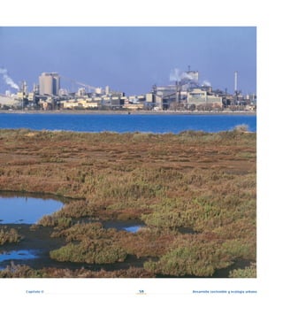 59 Desarrollo sostenible y ecología urbana
Capítulo II
 