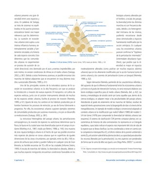 75 Desarrollo sostenible y ecología urbana
Capítulo II
urbanos presenta una gran di-
versidad entre unos espacios y
otros. En palabras de Sukopp,
se trata de sistemas no equili-
brados, en los que los procesos
estocásticos tienen una mayor
relevancia que los determinis-
tas. La sucesión en ecosiste-
mas urbanos está sujeta a una
intensa influencia humana, ex-
tremadamente variable y fuer-
temente vinculada a la historia
de cada espacio concreto. Esto
determina que las comunida-
des urbanas no experimenten
un proceso de sucesión de ca-
rácter direccional, sino dominado por el azar y eventos impredecibles; por
este motivo, no existen condiciones de clímax en el medio urbano (Sukopp,
2002, p 381). Debido a estos fenómenos azarosos, es posible encontrar dos
manchas de hábitat adyacentes que se encuentren en muy distintos esta-
dios sucesionales (Niemela, 1999, p. 61)
Una de las principales razones de la naturaleza azarosa de la su-
cesión en ecosistemas urbanos es la alta frecuencia con que se produce
la introducción o invasión de nuevas especies. El transporte o el cultivo de
especies exóticas, junto con el carácter intensamente alterado de muchos
de los espacios verdes urbanos, facilita el proceso de invasión (Niemela,
1999, p. 61). Aparte de esto, los cambios en los hábitats producidos por el
hombre favorecen los procesos de extinción, ya sea de forma fulminante o
progresiva. Por ello, los ecosistemas urbanos suponen ejemplos extremos
de comunidades producidas por sucesivas invasiones, y no por un desarrollo
co-evolucionario (Sukopp, 2002, p. 381).
La estructura heterogénea del paisaje urbano, las perturbaciones
antropogénicas y la invasión de especies no autóctonas determinan que la
flora y la fauna en la ciudad sean más diversificadas que en el campo circun-
dante (Matthey et al., 1987; citado por Bettini, 1998, p. 144). Una muestra
de esta riqueza biológica urbana es el hecho de que sea posible encontrar
más especies de plantas en zonas urbanas que en superficies de iguales
dimensiones de las áreas circundantes; por ejemplo, entre las 80 y 100 es-
pecies de avifauna que anidan y pueden hallarse en cualquier zona de Gran
Bretaña, es factible encontrar de 70 a 80 en las ciudades (Informe Dobrís,
1995). A escala de manchas de hábitat, la diversidad es elevada, debido a
que muchas especies inmigrantes encuentran condiciones favorables en los
biotopos urbanos alterados por
el hombre; a escala de paisaje,
la diversidad entre las distintas
manchas es con frecuencia ele-
vada, debido a la heterogenei-
dad intrínseca de las mismas,
pudiendo encontrarse desde
áreas seminaturales a espacios
fuertemente modificados por la
acción antrópica. En cualquier
caso, los ecosistemas urbanos
parecen confirmar la “hipótesis
de la perturbación intermedia”
(intermediate disturbance hypo-
thesis), que predice que la di-
versidad es mayor en espacios
moderadamente alterados (como podrían ser muchos espacios abiertos
urbanos) que en los altamente modificados por la acción humana (como el
centro urbano) y los carentes de perturbación (como un bosque) (Niemela,
1999, p. 62).
Según demuestra Niemela, partiendo de las características referidas y
del supuesto de que la diferencia fundamental entre los ecosistemas urbanos
y el resto es el grado de intervención humana,no sería necesario elaborar una
teoría ecológica específica para el medio urbano (Niemela, ibid., p. 62). Las
teorías y metodologías de estudio serán por tanto aquellas que, dentro de la
ciencia ecológica, se adapten mejor a las peculiaridades del paisaje urbano.
Atendiendo al grado de aislamiento de las manchas de hábitat, resultan de
especial interés aproximaciones como la biogeografía de islas o la teoría de las
metapoblaciones. Un ejemplo de modelo ecológico convencional adaptado al
contexto urbano es la modificación que realizó Gilbert (1989) del modelo C-
S-R de Grime (1979) para comprender la diversidad de hábitats urbanos (ver
esquema). El sistema de clasificación CSR permite comparar plantas con ca-
racterísticas de historias de vida contrastantes. Se representa en un triángulo
equilátero, cuyos lados indican el aspecto más importante del ciclo de vida de
la especie que se desea clasificar. Las tres coordenadas a tener en cuenta son:
la competencia interespecífica (C), el efecto relativo de la presión ambiental o
estrés(S),yelcarácterruderaldelasplantas(esdecir,sucapacidadparaabsorber
los recursos liberados por la perturbación). Los tres aspectos son ponderados
de forma que la suma de ellos sea igual a uno (Vega Peña,2005)14
.La versión
Modelo C-S-R de Grime (1979). Fuente: Grime, 1979; citado por Bettini, 1998, p. 143
Hábitats alterados
altamente productivos
C
S
R
Límites superiores de los cursos
de agua contaminados
Jardines y parcelas abandonados
Raramente ocupado
Escombreras incontroladas
de más de diez años
Deslindes, terraplenes, graveras
Ambientes bajo los viaductos
de las autopistas
Hábitats estresados
Material ferroviario, cenizas,
coberturas de briófitos
Pavimentaciones,
aparcamientos temporales
Hábitats alterados
Arriates ornamentales
(primavera y verano)
Terrenos cultivados
Espacios públicos abiertos, terrenos
con herbáceas como Lolium
Límites inferiores de los cursos
de agua contaminados
14.Ver:Algunos conceptos de la ecología y sus vínculos con la restauración.ErnestoVicenteVega
Peña. Consultable en: http://www.ine.gob.mx/ueajei/publicaciones/libros/467/vega.html
 