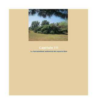 Capítulo III
La funcionalidad ambiental del espacio libre
 