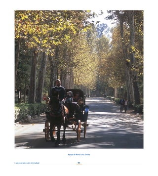94
La naturaleza en la ciudad
Parque de María Luisa. Sevilla
 