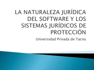 Universidad Privada de Tacna
 
