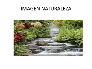 IMAGEN NATURALEZA
 