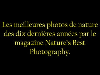 Les meilleures photos de nature
des dix dernières années par le
magazine Nature’s Best
Photography.
 