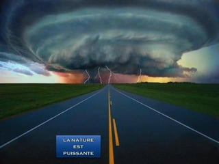 La nature