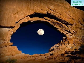 Elle te
surveille
Elle te
surveille
 