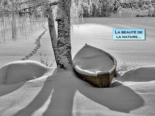 La beauté de
la nature…
La beauté de
la nature…
 