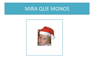 MIRA QUE MONOS