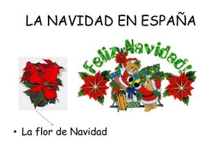 LA NAVIDAD EN ESPAÑA
• La flor de Navidad
 