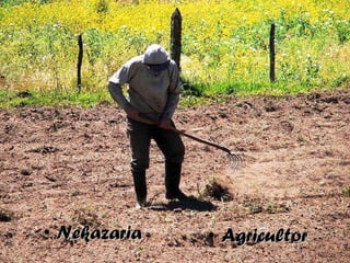 <ul><li>Nekazaria </li></ul><ul><li>Agricultor </li></ul>