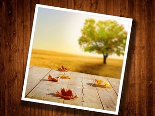 Lançamento - Nova Lição para os Adolescentes!