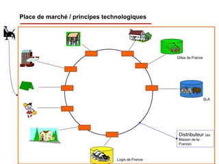 Lancea M O P A081107