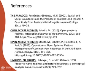 Land and resource governance in pastoralist systems: It’s not all about boundaries and property rights