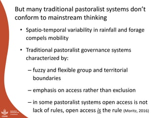 Land and resource governance in pastoralist systems: It’s not all about boundaries and property rights