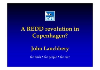 A REDD revolution in
   Copenhagen?

   John Lanchbery
   for birds • for people • for ever
 