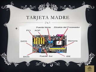 TARJETA MADRE
 .
 