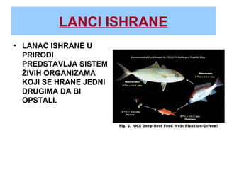 LANCI ISHRANE
• LANAC ISHRANE U
PRIRODI
PREDSTAVLJA SISTEM
ŽIVIH ORGANIZAMA
KOJI SE HRANE JEDNI
DRUGIMA DA BI
OPSTALI.
 