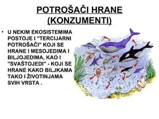 POTROŠAČI HRANE
(KONZUMENTI)
• U NEKIM EKOSISTEMIMA
POSTOJE I "TERCIJARNI
POTROŠAČI" KOJI SE
HRANE I MESOJEDIMA I
BILJOJEDIMA, KAO I
"SVAŠTOJEDI" - KOJI SE
HRANE KAKO BILJKAMA
TAKO I ŽIVOTINJAMA
SVIH VRSTA .