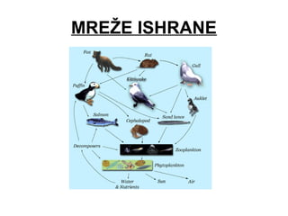 MREŽE ISHRANE