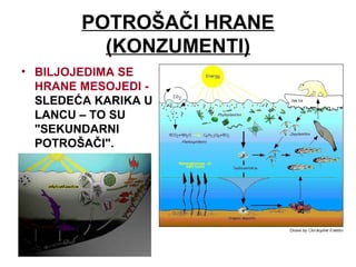 Lanci Ishrane PPT