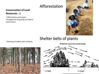 Conservation of Land Resources - 1 Afforestation Shelter belts of plants Afforestation and proper management of grazing can help to some extent. Planting of shelter belts of plants,  