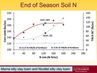 Nutrient Management
End of Season Soil N
Marna silty clay loam and Nicollet silty clay loam
 