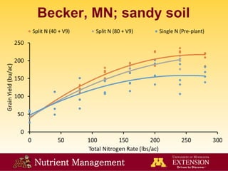 Nutrient Management
Becker, MN; sandy soil
 