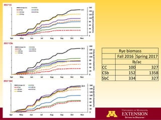 Nutrient Management
Rye biomass
Fall 2016 Spring 2017
lb/ac
CC 100 327
CSb 152 1358
SbC 334 327
 