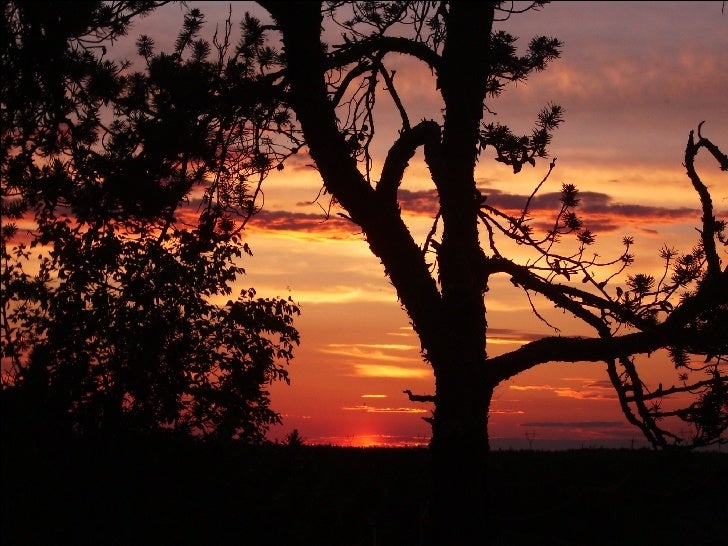 2021 Land Of The Midnight Sun 2021 Land Of The Midnight Sun