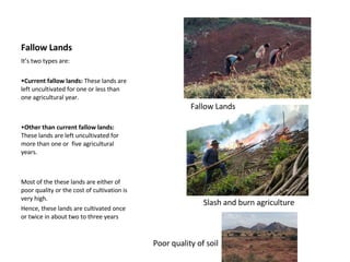 Fallow Lands It’s two types are: Current fallow lands:  These lands are left uncultivated for one or less than one agricultural year. Other than current fallow lands:  These lands are left uncultivated for more than one or  five agricultural years. Most of the these lands are either of poor quality or the cost of cultivation is very high. Hence, these lands are cultivated once or twice in about two to three years Fallow Lands Slash and burn agriculture Poor quality of soil 