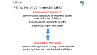 Land and agricultural commercialisation conclusion | PPTX