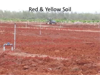 Land and soil resources