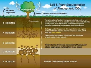 Land and soil resources