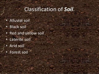 Land and soil resources