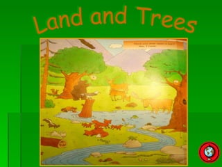 Land and Trees 