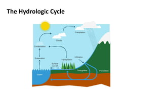 The Hydrologic Cycle
 