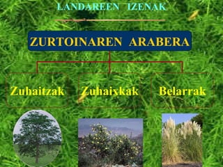 LANDAREEN  IZENAK ZURTOINAREN  ARABERA Zuhaitzak Zuhaixkak Belarrak 
