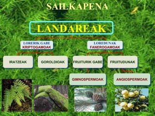 SAILKAPENA LANDAREAK LORERIK GABE KRIPTOGAMOAK LOREDUNAK FANEROGAMOAK IRATZEAK GOROLDIOAK FRUITURIK GABE FRUITUDUNAK ANGIOSPERMOAK GIMNOSPERMOAK 
