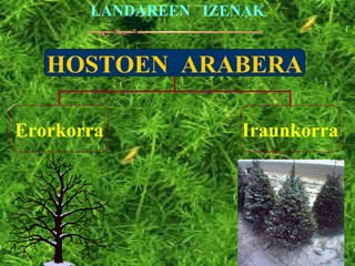 LANDAREEN  IZENAK HOSTOEN  ARABERA Erorkorra Iraunkorra 