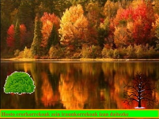 Hosto erorkorrekoak zein iraunkorrekoak izan daitezke

 