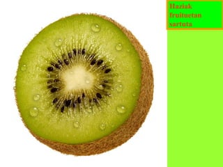 Haziak
fruituetan
sartuta

 