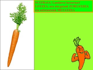 SUSTRAIA: Landarea lurzoruari
LOTZEA, ura eta gatzak ZURGATZEA
eta substantziak METATZEA

 