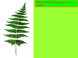 IRATZEAK: Badituzte garraiohodiak

 