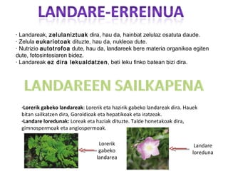 · Landareak, zelulaniztuak dira, hau da, hainbat zelulaz osatuta daude.
· Zelula eukariotoak dituzte, hau da, nukleoa dute.
· Nutrizio autotrofoa dute, hau da, landareek bere materia organikoa egiten
dute, fotosintesiaren bidez.
· Landareak ez dira lekualdatzen, beti leku finko batean bizi dira.




  ·Lorerik gabeko landareak: Lorerik eta hazirik gabeko landareak dira. Hauek
  bitan sailkatzen dira, Goroldioak eta hepatikoak eta iratzeak.
  ·Landare loredunak: Loreak eta haziak dituzte. Talde honetakoak dira,
  gimnospermoak eta angiospermoak.

                                   Lorerik                                 Landare
                                   gabeko                                 loreduna
                                  landarea
 