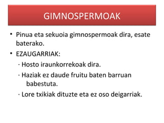 GIMNOSPERMOAK
• Pinua eta sekuoia gimnospermoak dira, esate
  baterako.
• EZAUGARRIAK:
   · Hosto iraunkorrekoak dira.
   · Haziak ez daude fruitu baten barruan
      babestuta.
   · Lore txikiak dituzte eta ez oso deigarriak.
 