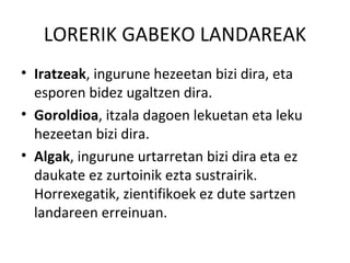 LORERIK GABEKO LANDAREAK
• Iratzeak, ingurune hezeetan bizi dira, eta
  esporen bidez ugaltzen dira.
• Goroldioa, itzala dagoen lekuetan eta leku
  hezeetan bizi dira.
• Algak, ingurune urtarretan bizi dira eta ez
  daukate ez zurtoinik ezta sustrairik.
  Horrexegatik, zientifikoek ez dute sartzen
  landareen erreinuan.
 
