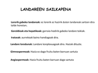 LANDAREEN SAILKAPENA


Lorerik gabeko landareak: ez lorerik ez hazirik duten landareak sartzen dira
talde honetan.

Goroldioak eta hepatikoak: garraio-hodirik gabeko landare txikiak.

Iratzeak: aurrekoak baino handiagoak dira.

Landare loredunak: Landare konplexuagoak dira. Haziak dituzte.

Gimnospermoak: Hazia ez dago fruitu baten barruan sartuta


Angiospermoak: Hazia fruitu baten barruan dago sartuta
 
