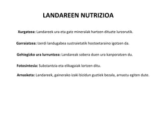 LANDAREEN NUTRIZIOA

Xurgatzea: Landareek ura eta gatz mineralak hartzen dituzte lurzorutik.

Garraiatzea: Izerdi landugabea sustraietatik hostoetaraino igotzen da.

Gehiegizko ura lurruntzea: Landareak sobera duen ura kanporatzen du.

Fotosintesia: Substantzia eta elikagaiak lortzen ditu.

Arnasketa: Landareek, gainerako izaki bizidun guztiek bezala, arnastu egiten dute.
 