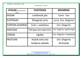 LANDAREAK – EGOKITZAPENA 2. MAILA
LAGUNTZA GELA – HIPI GELA

ATALAK

FUNTZIOAK

BEHARRAK

HAZIAK

Landareak jaio

Lurra Ura

SUSTRAIAK

Elikagaiak sortu

Lurra Ura Ongarria

ZURTOIN-ADARRAK

Eutsi – eskeletua

Ura Ongarria

(Beizamako Ingurumen

zentroa)

HOSTOAK
LOREAK
FRUITUAK

CO2 gasa eta argia lortu Ura Ongarria Eguzki-argia

Ugaldu

Ura Ongarria Intsektuak

Haziak sortu eta
landarea zabaldu

Ura Ongarria
Animaliak

www.margarigela.blogspot.com www.hipialtza.blogspot.com
www.lehenengoziklokolagunak.blogspot.com
Piktogramen egilea: Sergio Palao Jatorria: http://catedu.es/arasaac/ Lizentzia: CC (BY-NC)

 