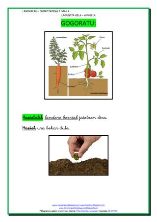 LANDAREAK – EGOKITZAPENA 2. MAILA
LAGUNTZA GELA – HIPI GELA

GOGORATU:





www.margarigela.blogspot.com www.hipialtza.blogspot.com
www.lehenengoziklokolagunak.blogspot.com
Piktogramen egilea: Sergio Palao Jatorria: http://catedu.es/arasaac/ Lizentzia: CC (BY-NC)

 
